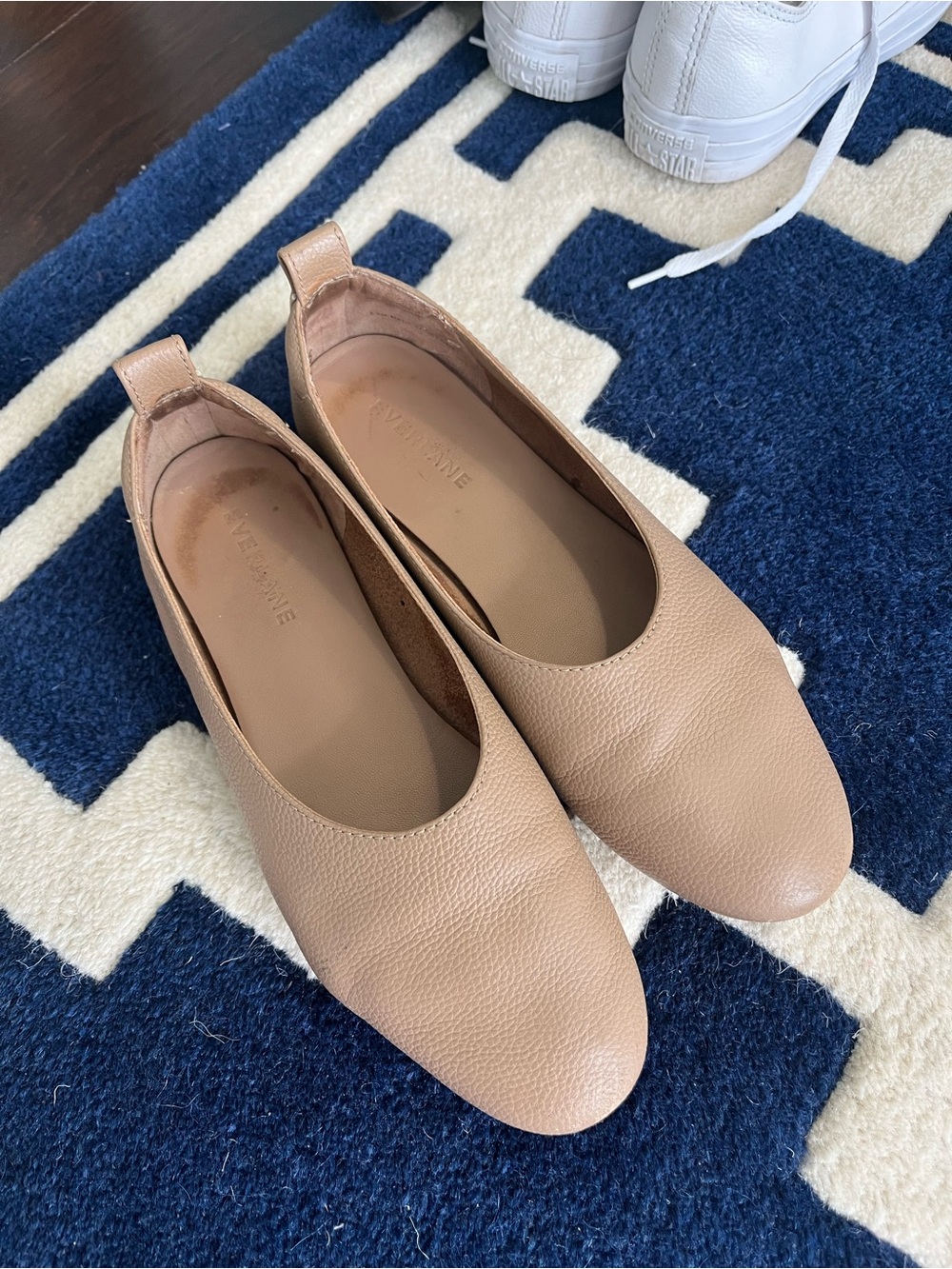 Everlane Leather Day Glove  in Neutral Beige